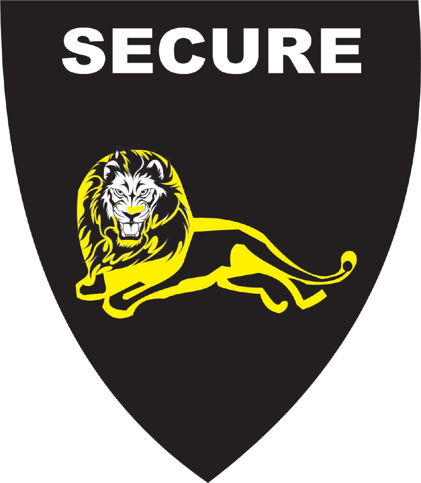 Secure Logo